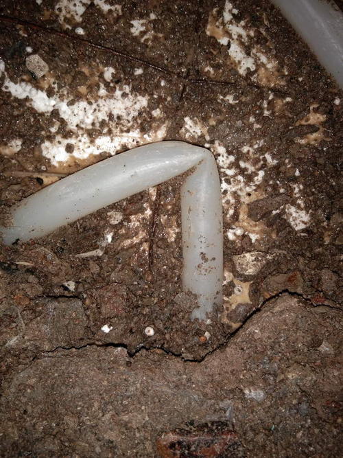 昭苏堵点精准查找